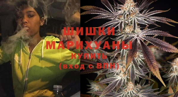 прущие грибы Зеленодольск
